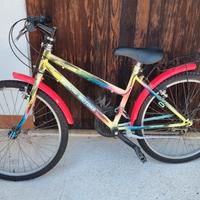 bicicletta da ragazzo