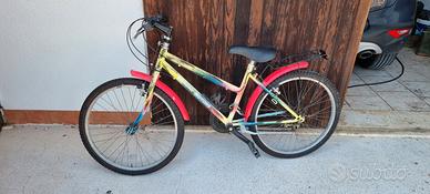 bicicletta da ragazzo