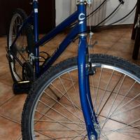 Mountain Bike blu in buone condizioni