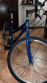 Mountain Bike blu in buone condizioni