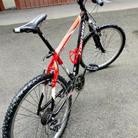 MTB Torpado