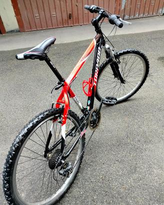MTB Torpado