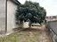 Immagine 28