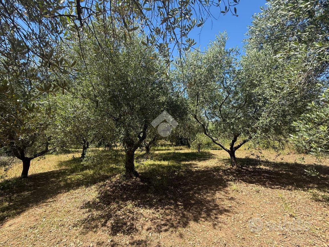 TER. AGRICOLO A CANALE MONTERANO - Vista 3