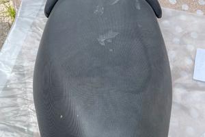 Parti Italjet Formula 50/125