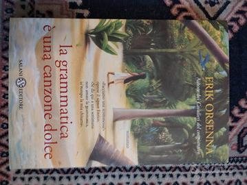 la grammatica è una canzone dolce di  Erik Orsenna