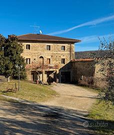 Immobile Castel Focognano