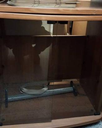 porta tv