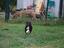Immagine 24