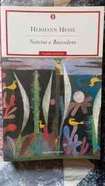 Narciso e Boccadoro - Hermann Hesse