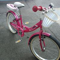 solo su Firenze e provincia