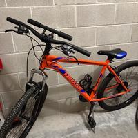 Bicicletta mountain bike