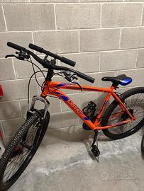 Bicicletta mountain bike
