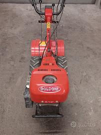 goldoni motocoltivatore 