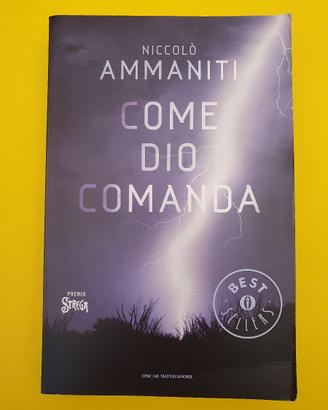 libro Niccolò Ammaniti - Come Dio Comanda
