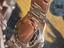 Immagine 4