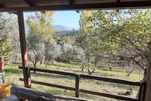 Terreno panoramico con casetta