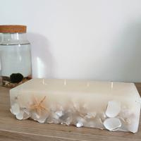 Candela con conchiglie