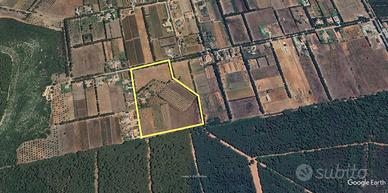 Proposta immobiliare con piu utilizzi