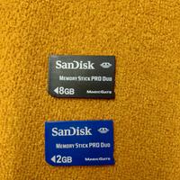 Memory Stick Pro Duo MagicGate 8GB+2GB