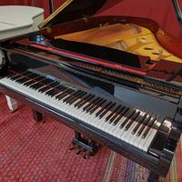 Pianoforte a coda REISENBACH 186-Professional