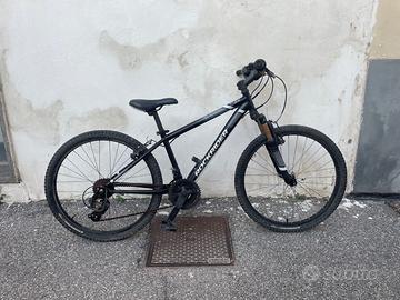 Bici mountain bike ruota 24