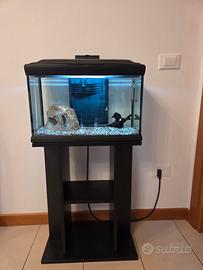 acquario + mobile