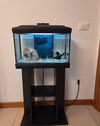 acquario + mobile