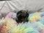 Immagine 17