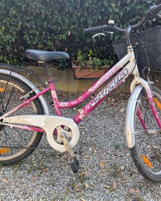 Bicicletta da babina misura 24 pollici