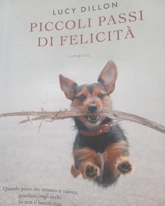 Romanzo "Piccoli passi di felicità"
