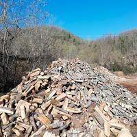 LEGNA DI QUERCIA SEGATA