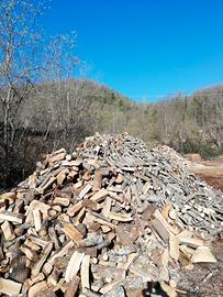 LEGNA DI QUERCIA SEGATA