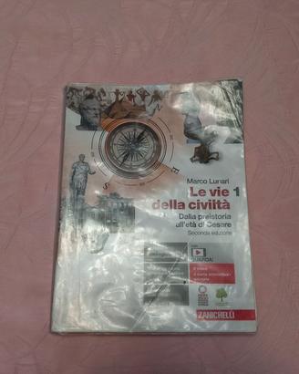 libri scolastici 