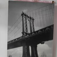 splendido set di 5fotografie in bianco e nero