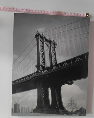 splendido set di 5fotografie in bianco e nero