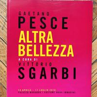 Catalogo da collezione