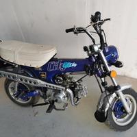 ciclomotore city dax 50 2 posti