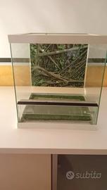 teca per rettili
