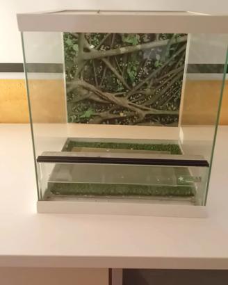 teca per rettili