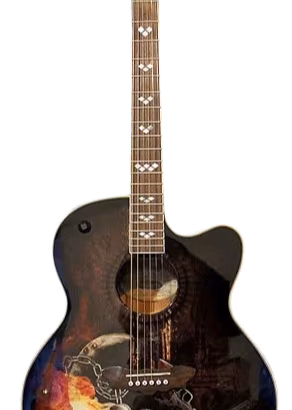 Leggere Bene  WASHBURN J32S CE GEORGE LYNCH