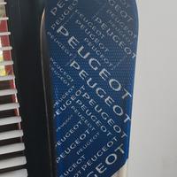 Sci marchiati peugeot