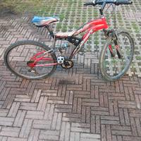 bicicletta Molinari 