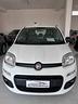 fiat-panda-1-2-easy