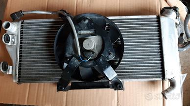 Radiatore originale er6n er6f 2009 2010 2011