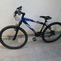 bici giant 