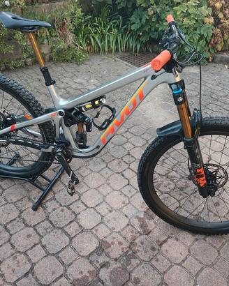 Pivot firebird 2025