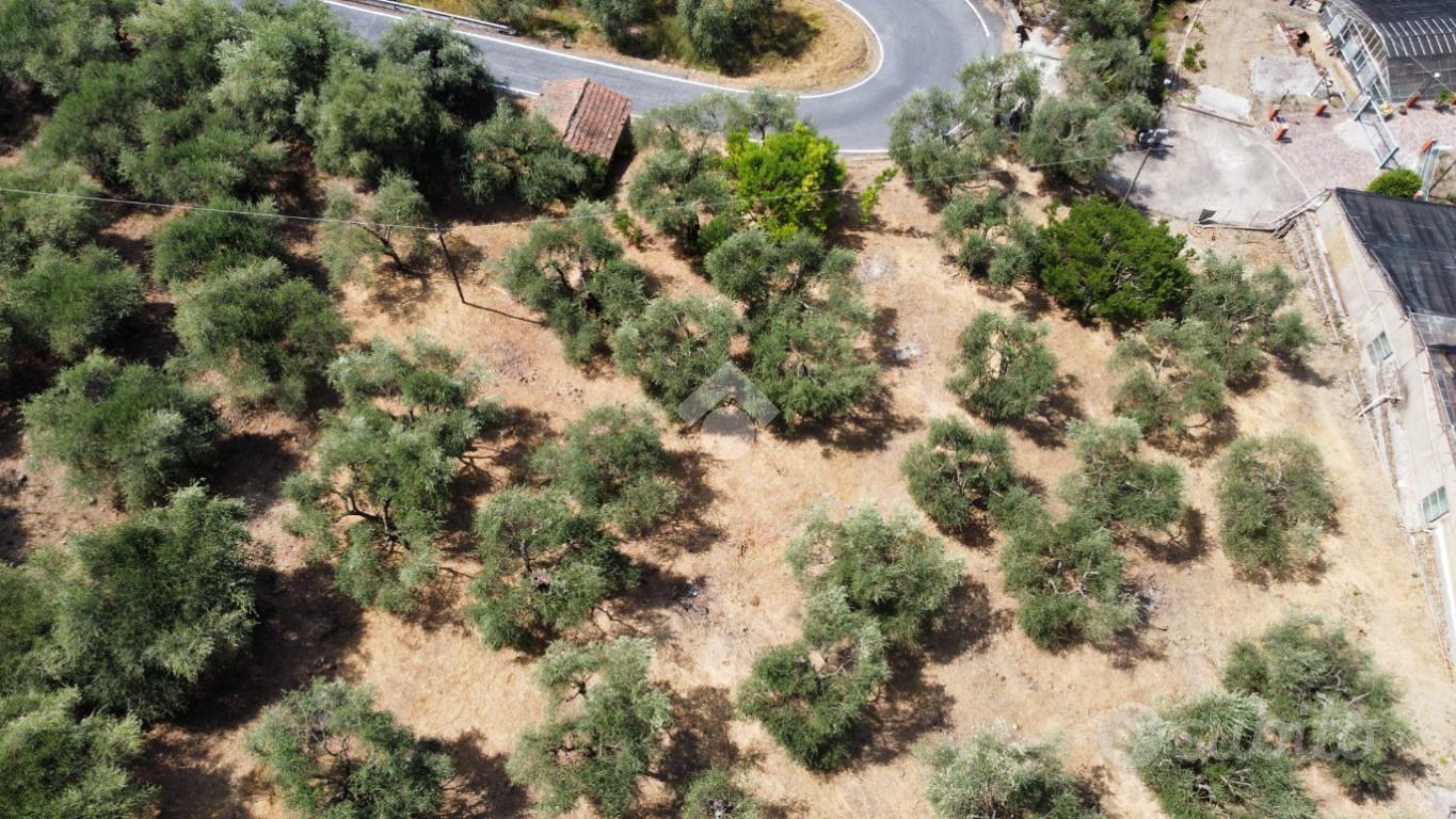 RUSTICO A PERINALDO - Vista 2