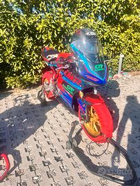 Mini gp suprema 2025