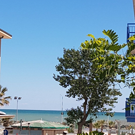 Appartamento vacanze al mare Rimini